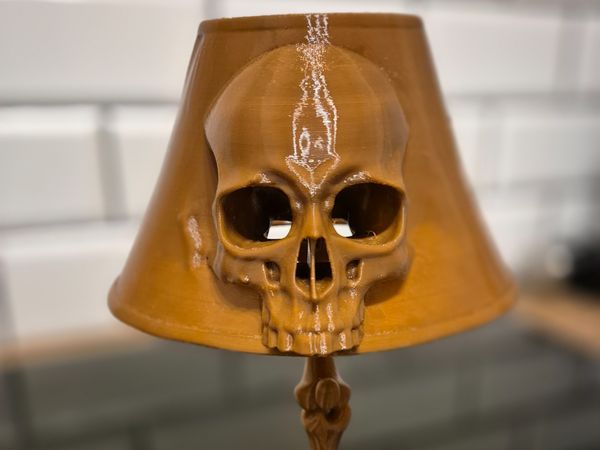 Skull lamp