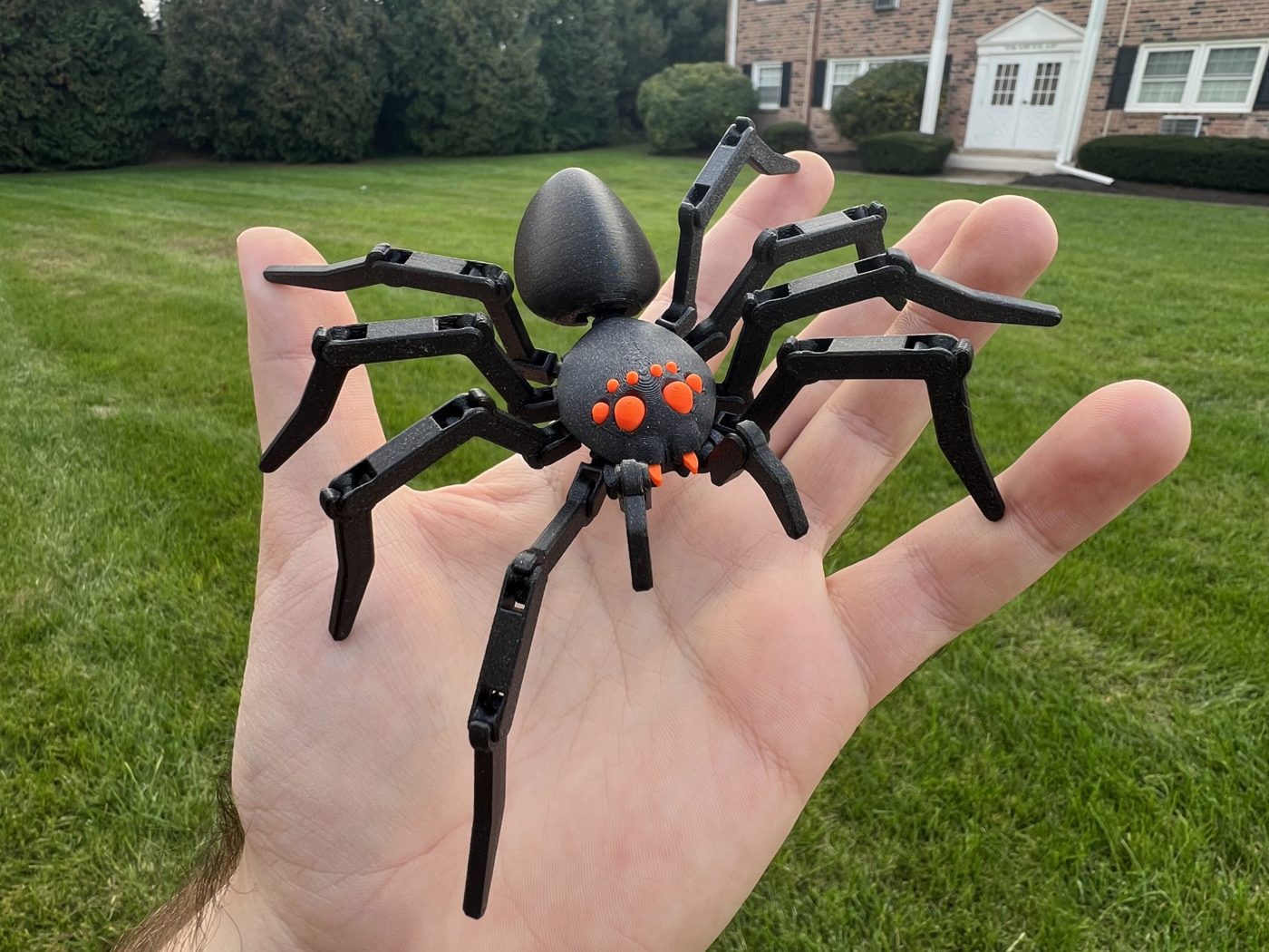 Articulated Spider