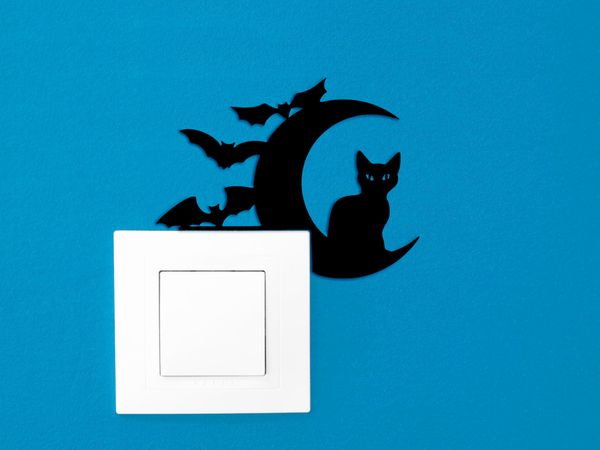 Cat on the Moon with Bats - light switch