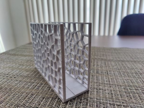 Voronoi Napkin Holder