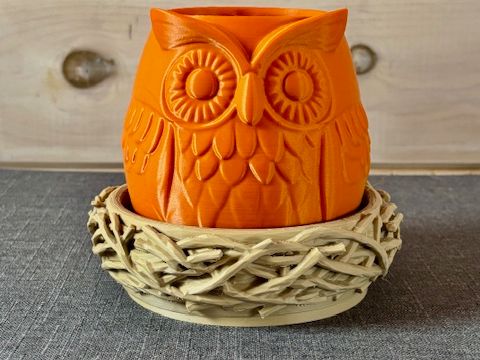 Whimsical Owl & Nest Planter