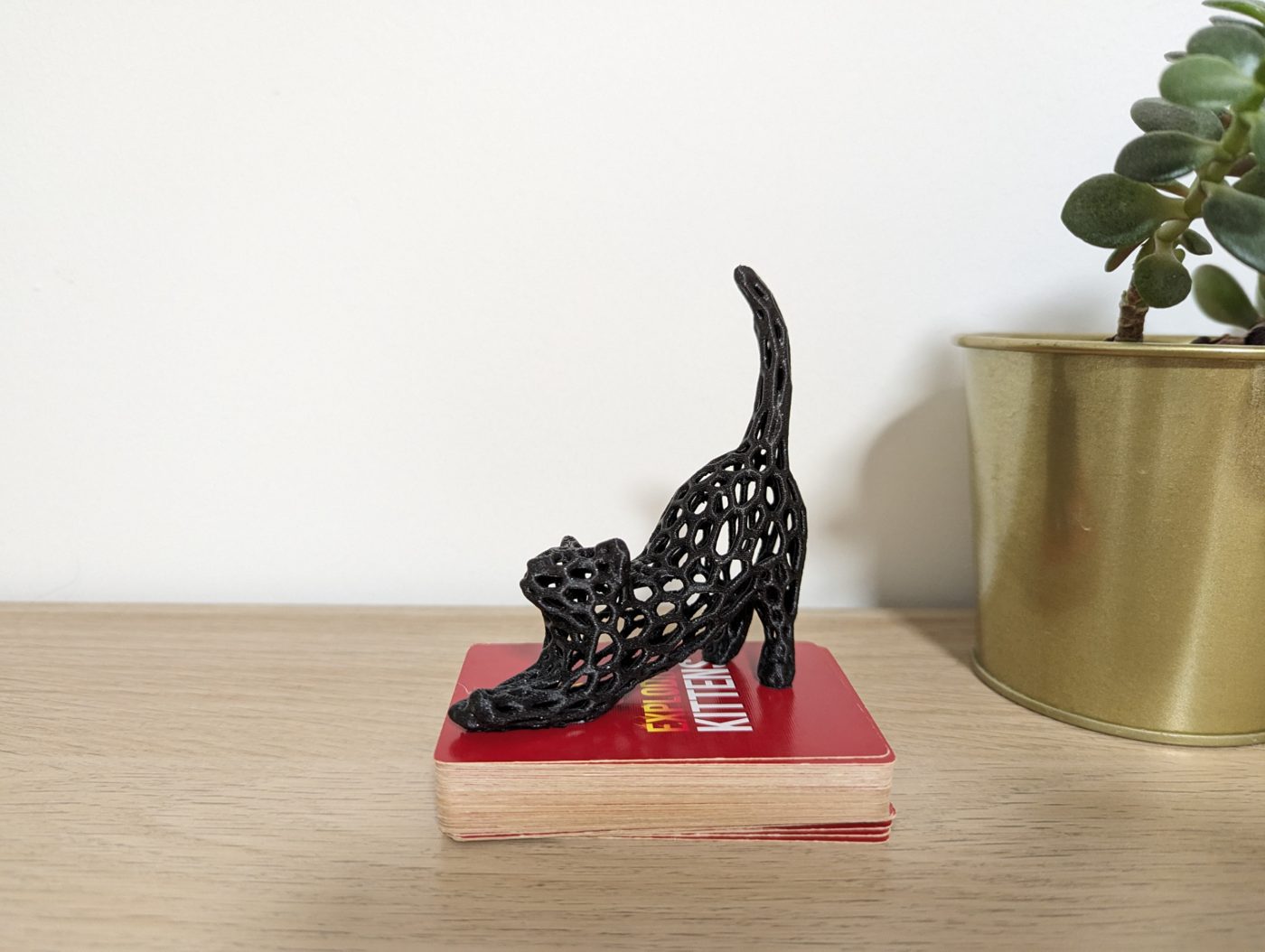Cat Stretch Voronoi Remix