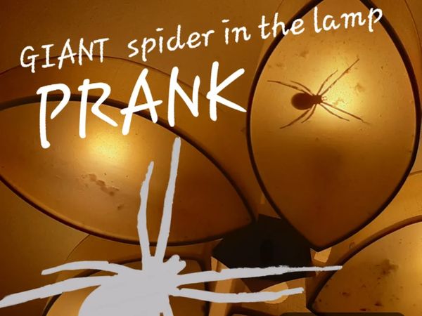 Scary Spider in The Lamp PRANK