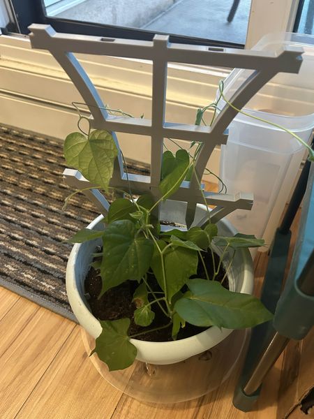Stackable Trellis
