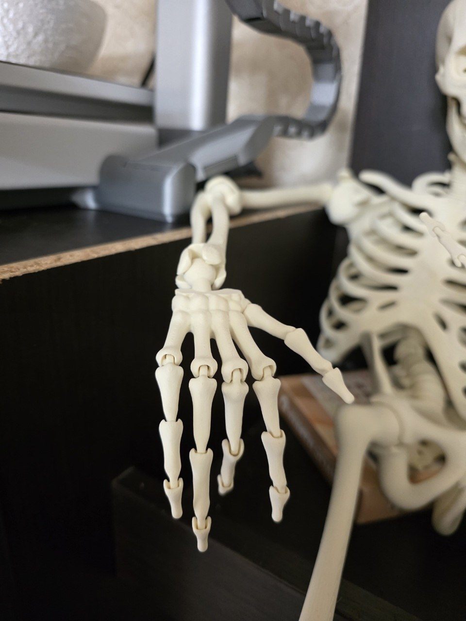 Articulated Skeleton