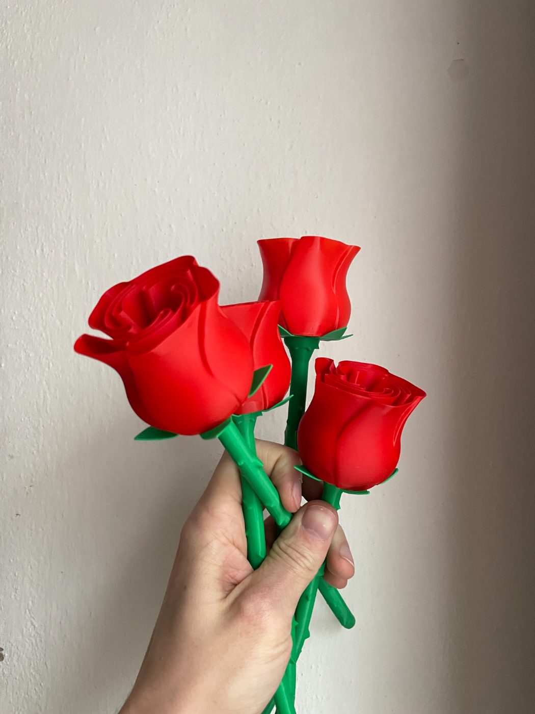 Beautiful Rose w Stem - International Woman’s Day