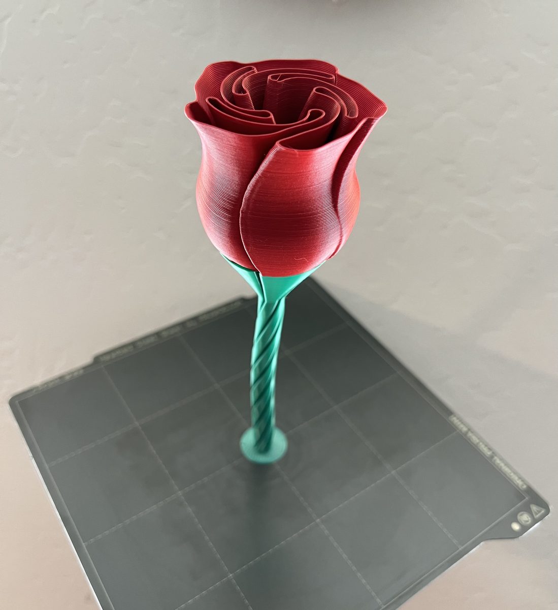 Complete Vase Rose Remix